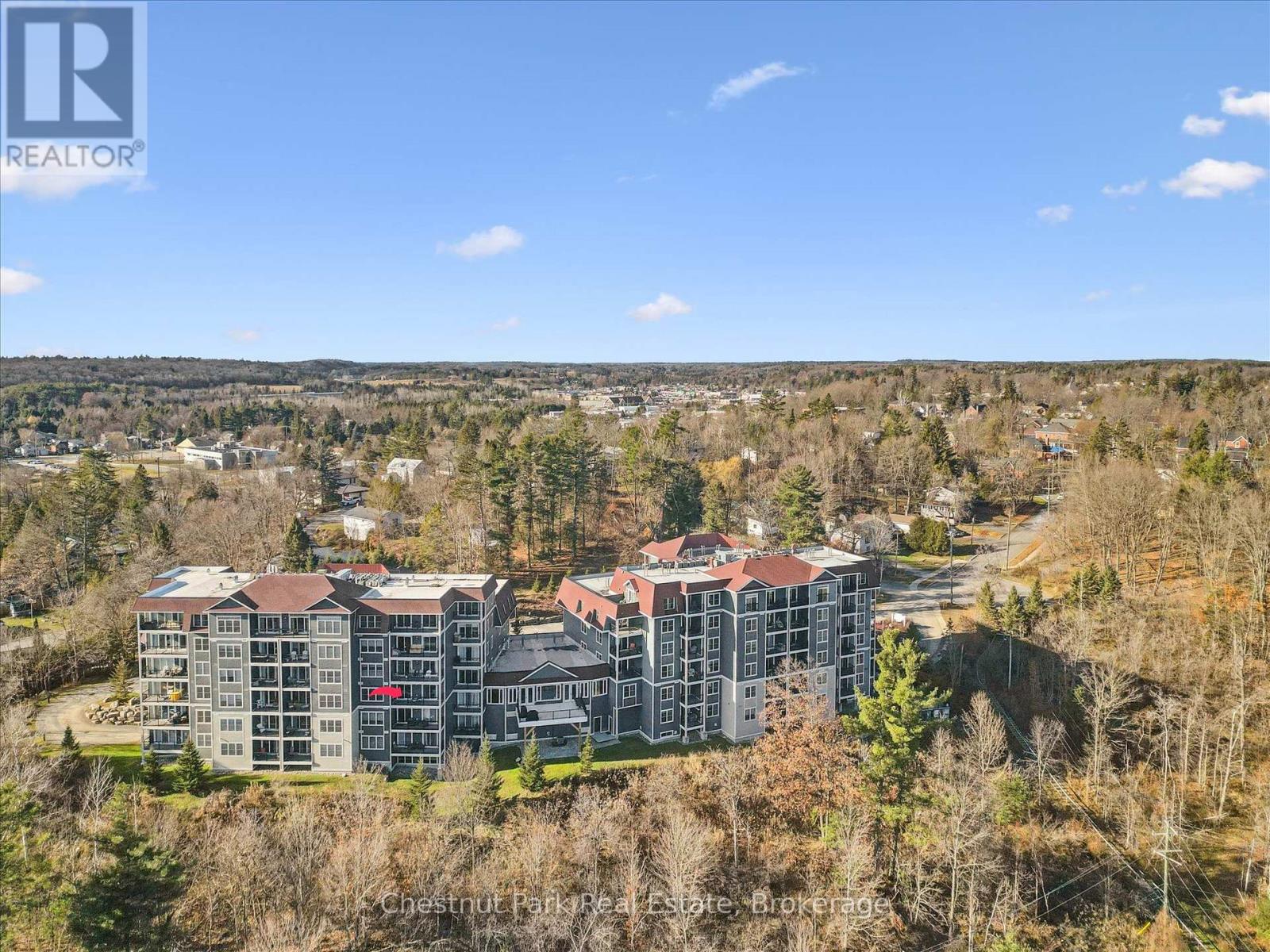 209 - 10b Kimberley Avenue, Bracebridge, Ontario  P1L 0A6 - Photo 3 - X12561904