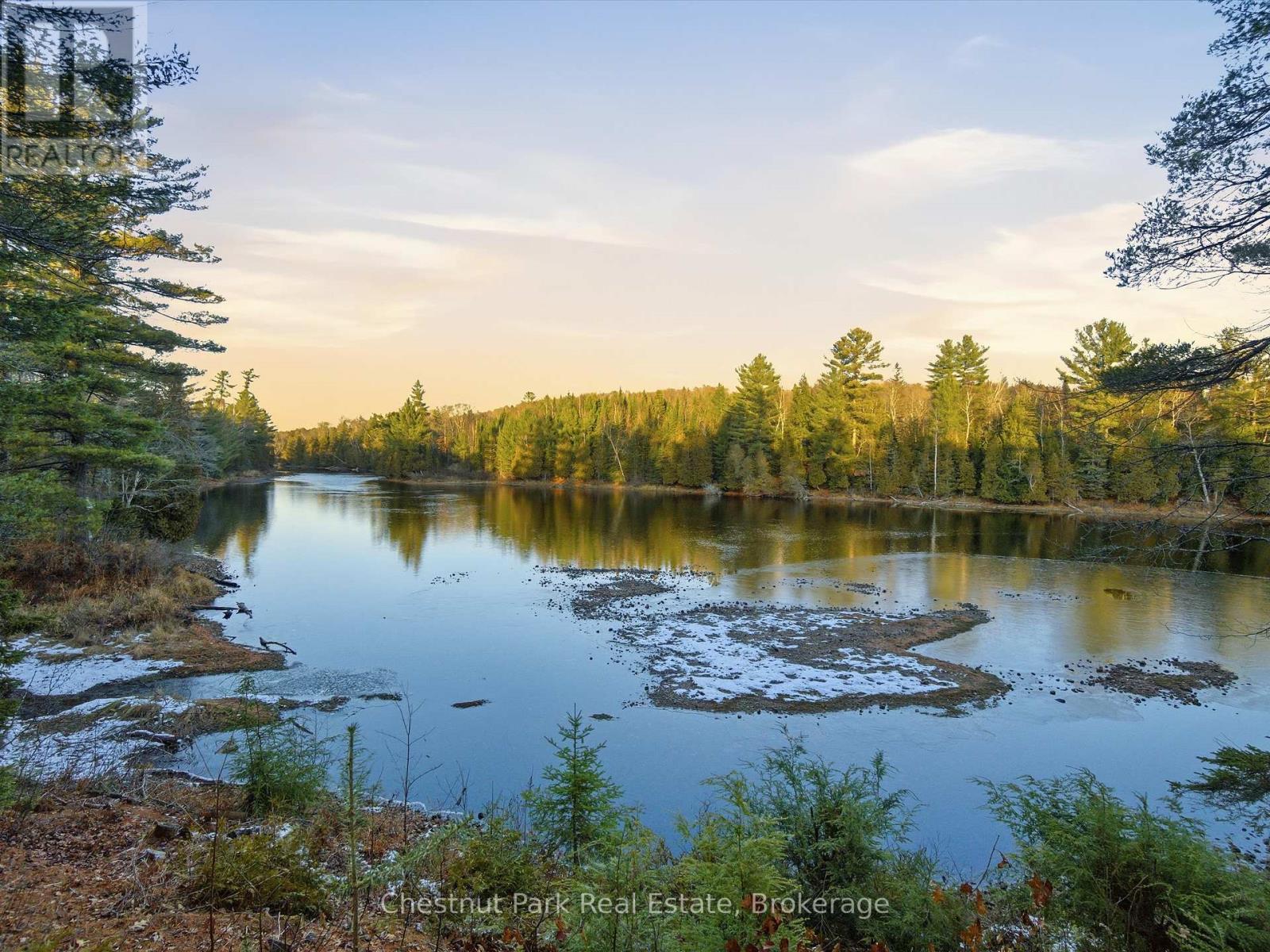 1077 Fairy Falls Road, Lake Of Bays, Ontario  P0B 1A0 - Photo 10 - X12570792