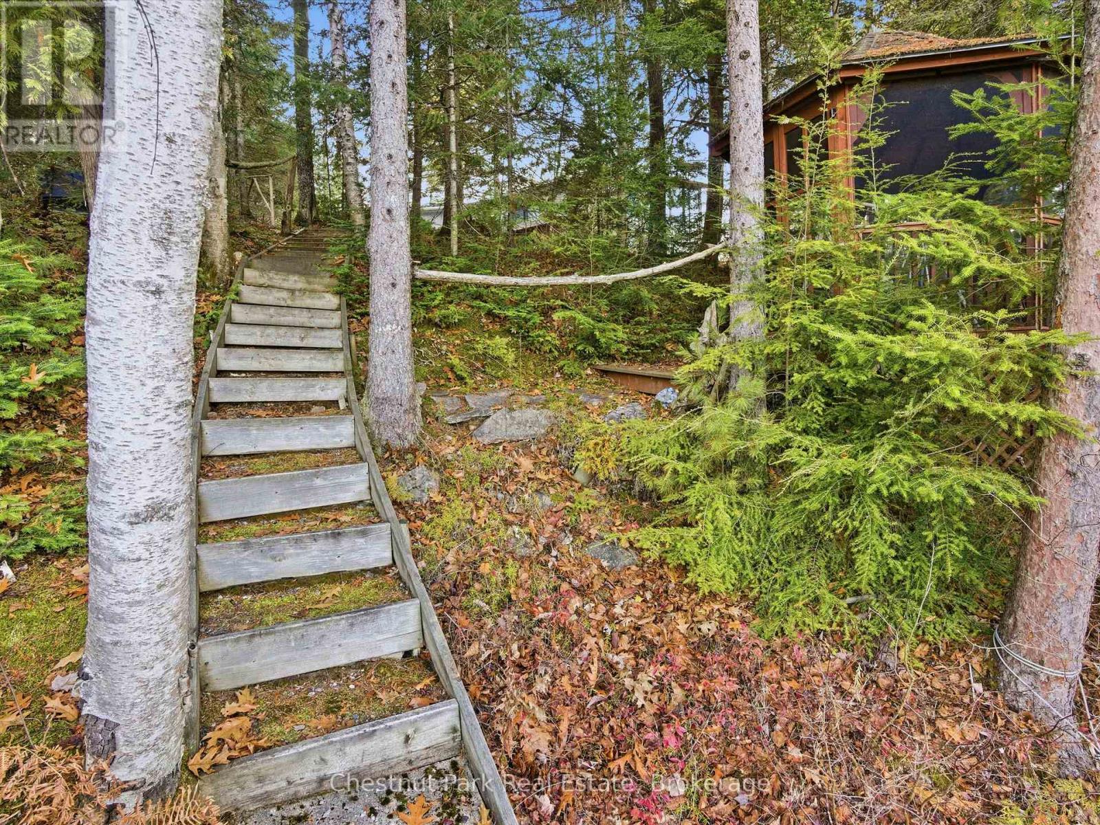 1077 Fairy Falls Road, Lake Of Bays, Ontario  P0B 1A0 - Photo 8 - X12570792