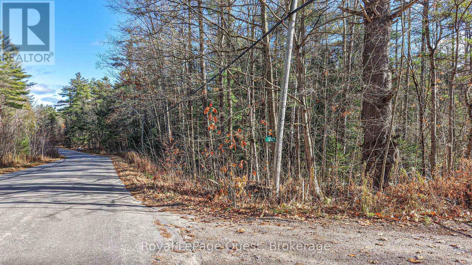 1267 Graham Road, Gravenhurst, Ontario  P0E 1N0 - Photo 2 - X12570880