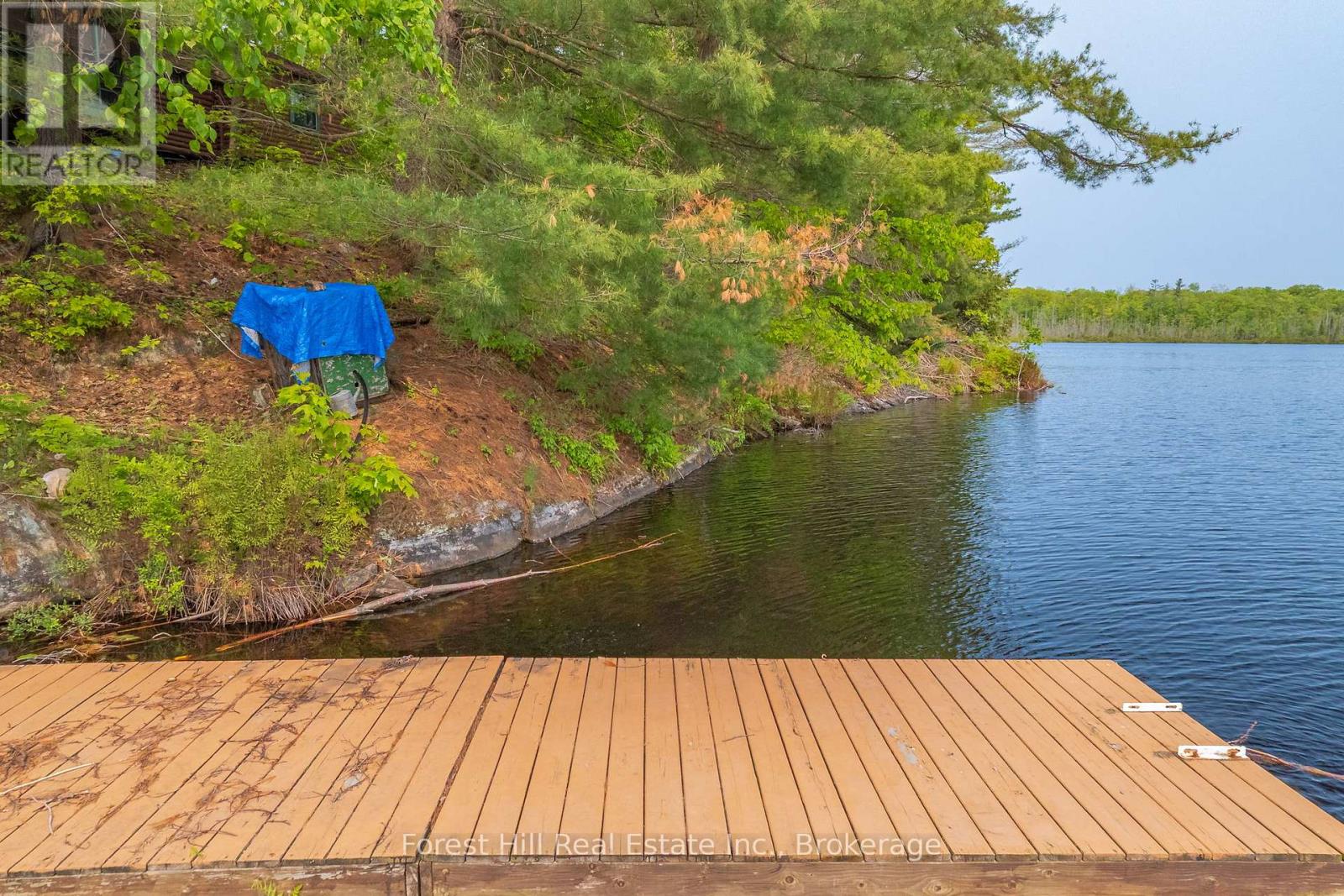 1067 West Black Lake Road, Muskoka Lakes, Ontario  P0C 1M0 - Photo 24 - X12573156