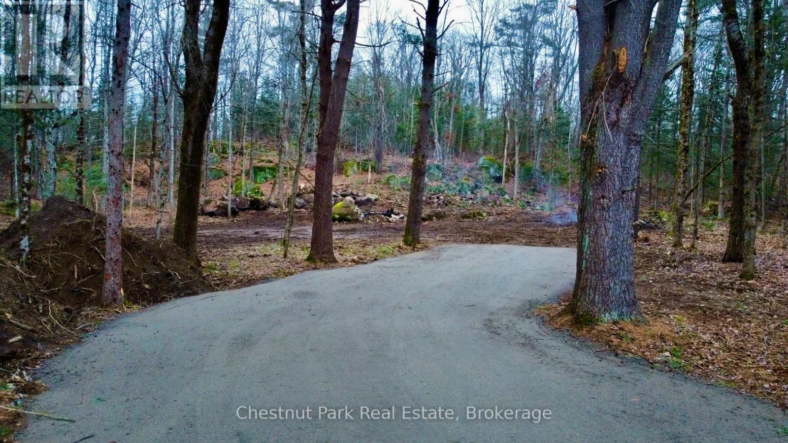 0 Germania Road, Bracebridge, Ontario  P1P 1R3 - Photo 1 - X12577286