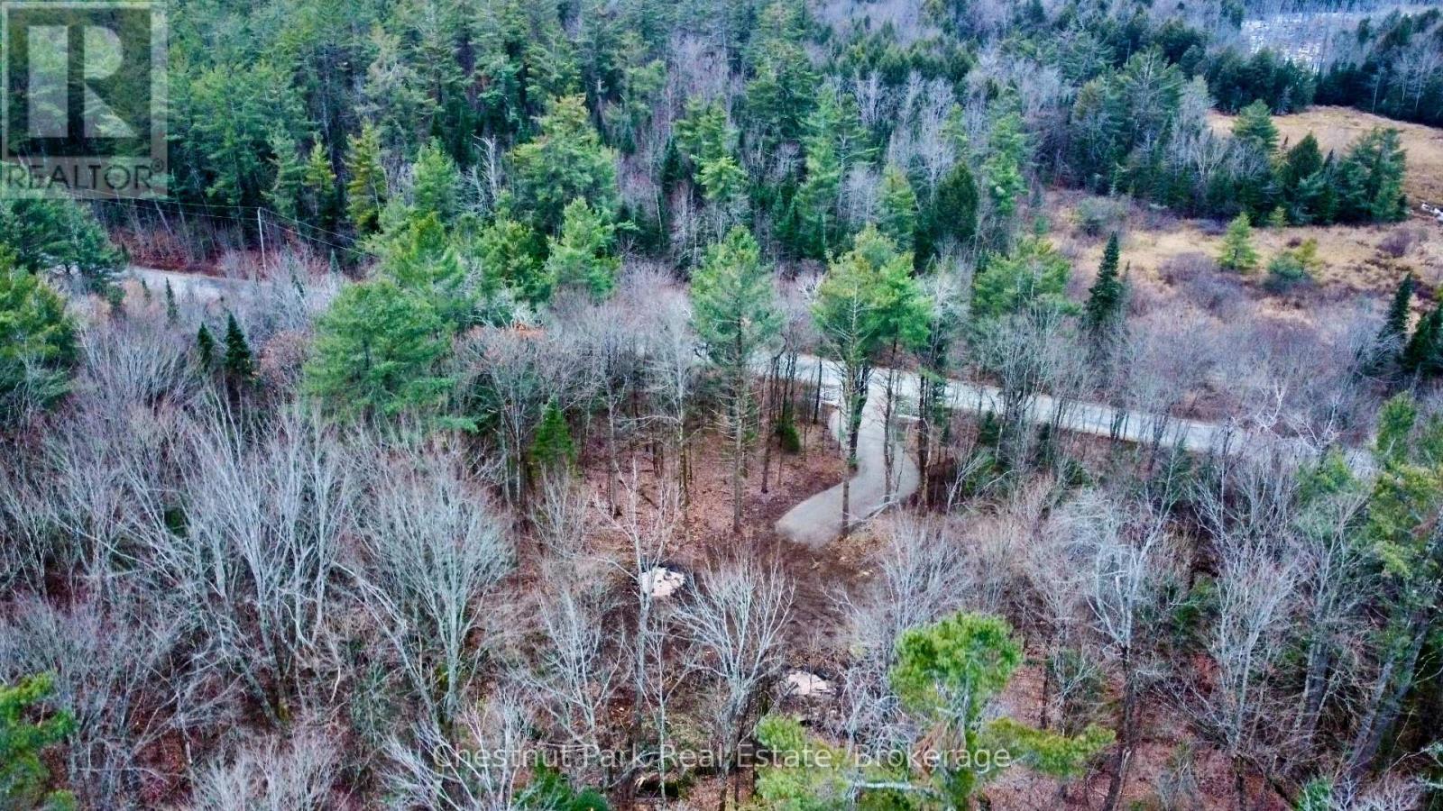 0 Germania Road, Bracebridge, Ontario  P1P 1R3 - Photo 2 - X12577286