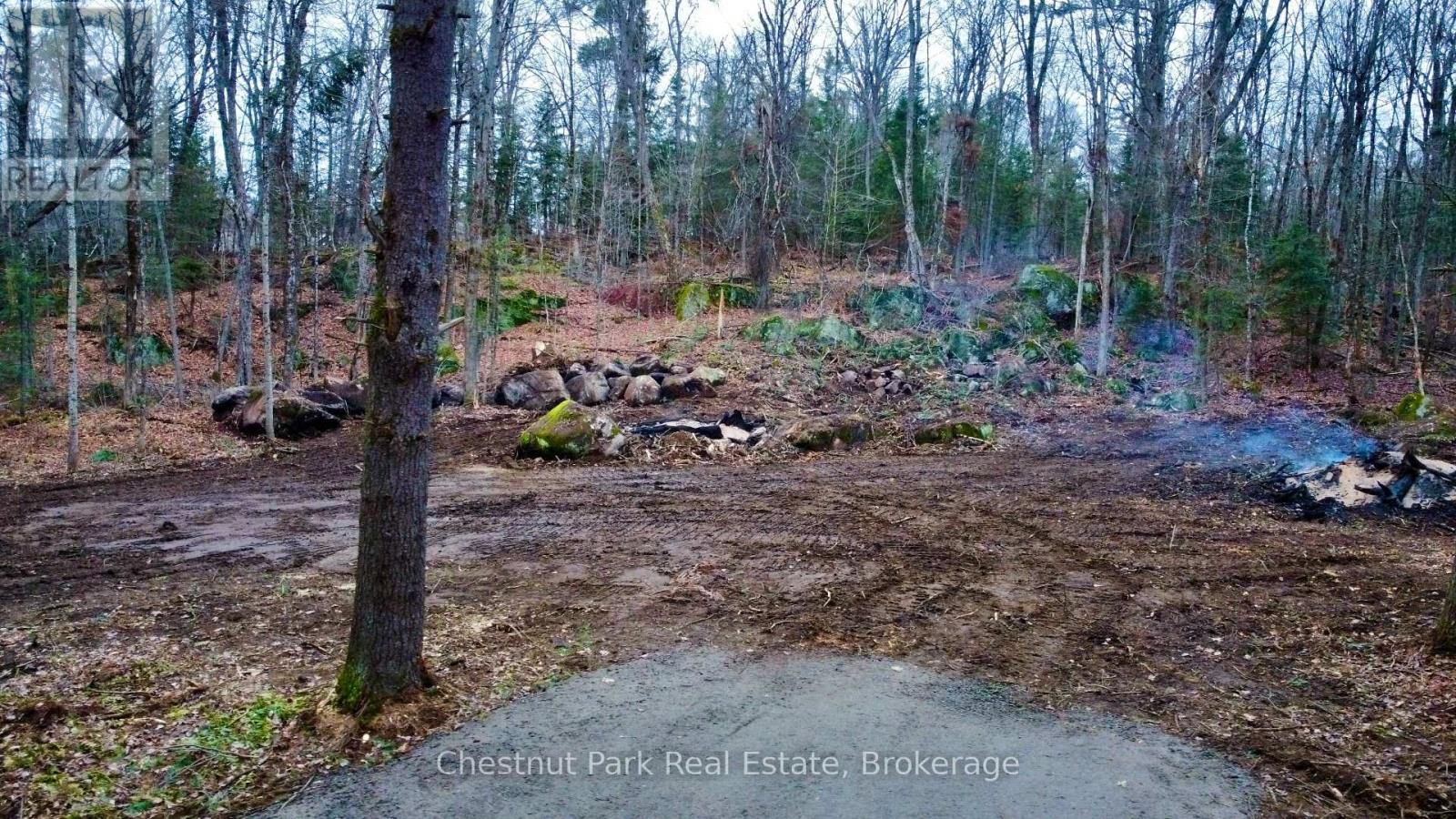 0 Germania Road, Bracebridge, Ontario  P1P 1R3 - Photo 3 - X12577286