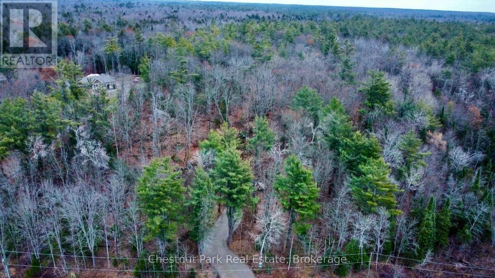 0 Germania Road, Bracebridge, Ontario  P1P 1R3 - Photo 4 - X12577286