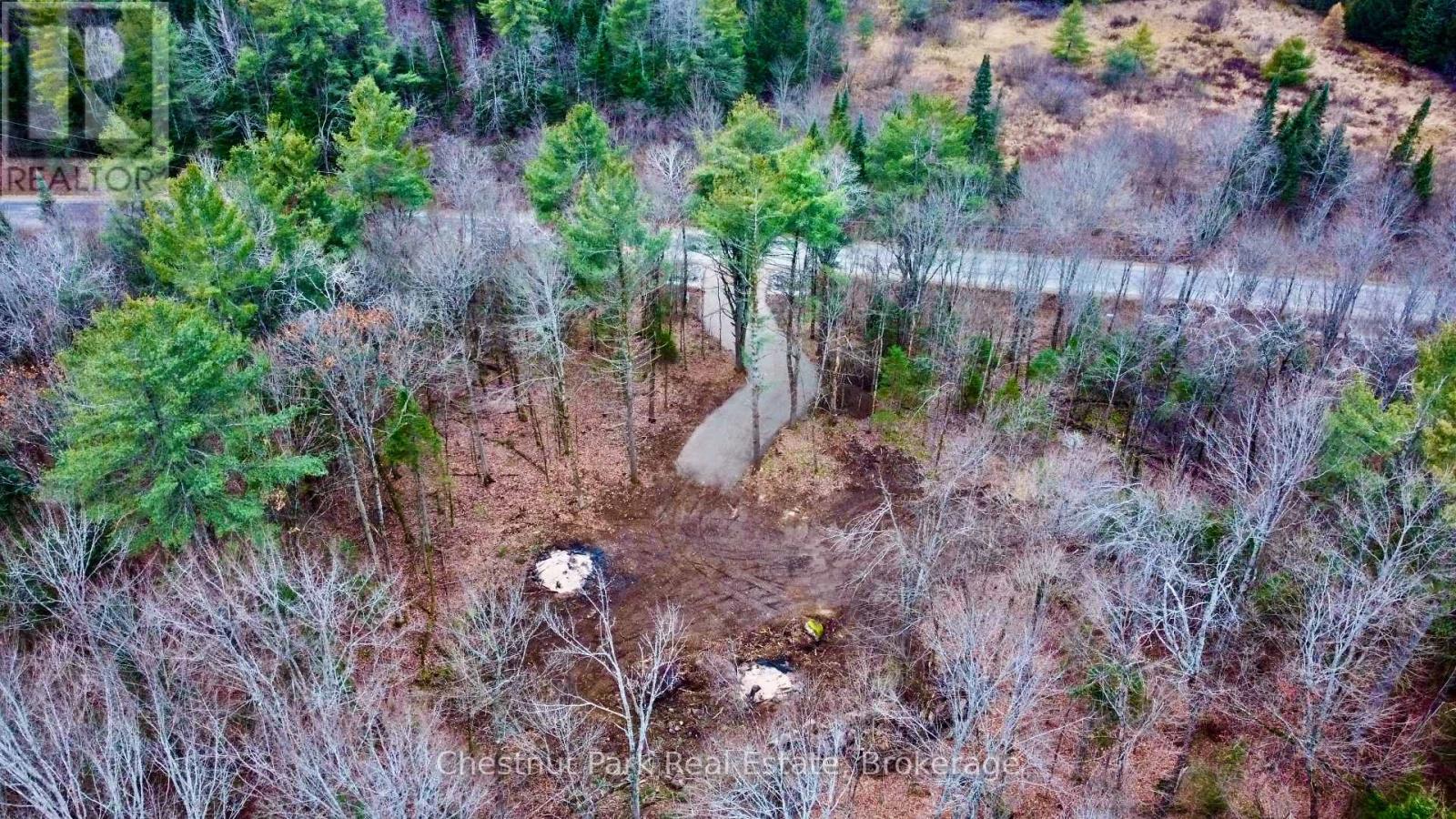 0 Germania Road, Bracebridge, Ontario  P1P 1R3 - Photo 5 - X12577286