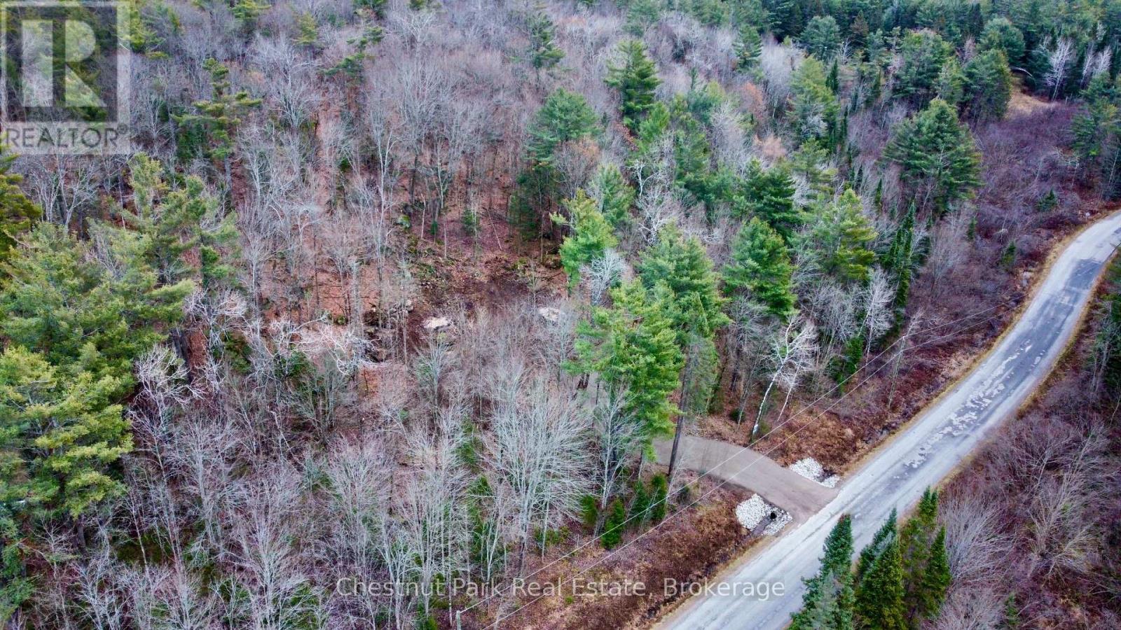 0 Germania Road, Bracebridge, Ontario  P1P 1R3 - Photo 6 - X12577286