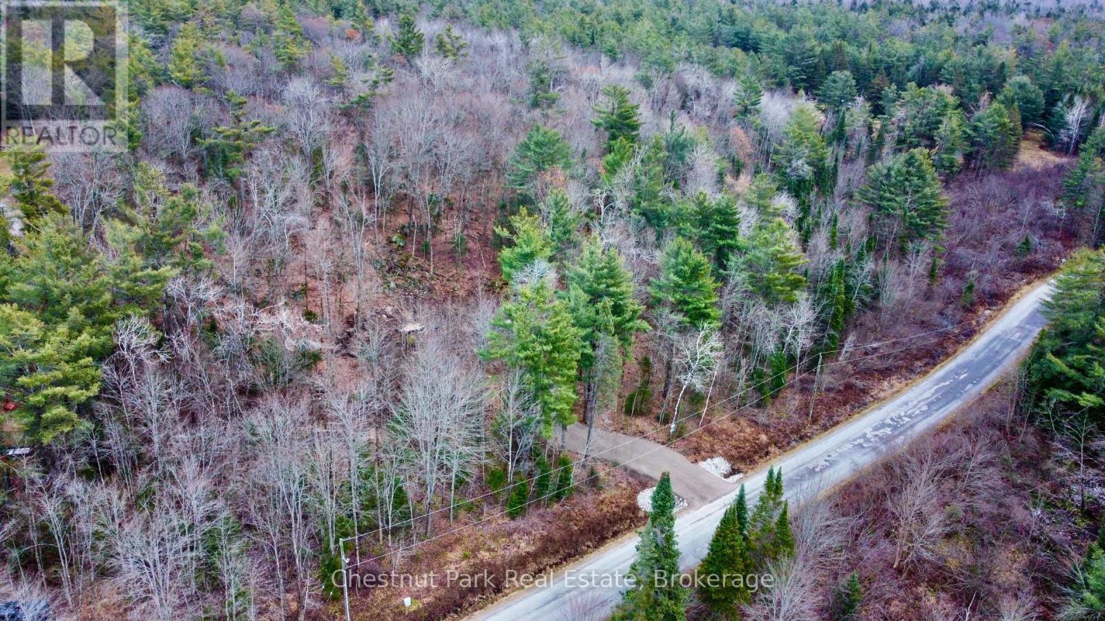 0 Germania Road, Bracebridge, Ontario  P1P 1R3 - Photo 7 - X12577286