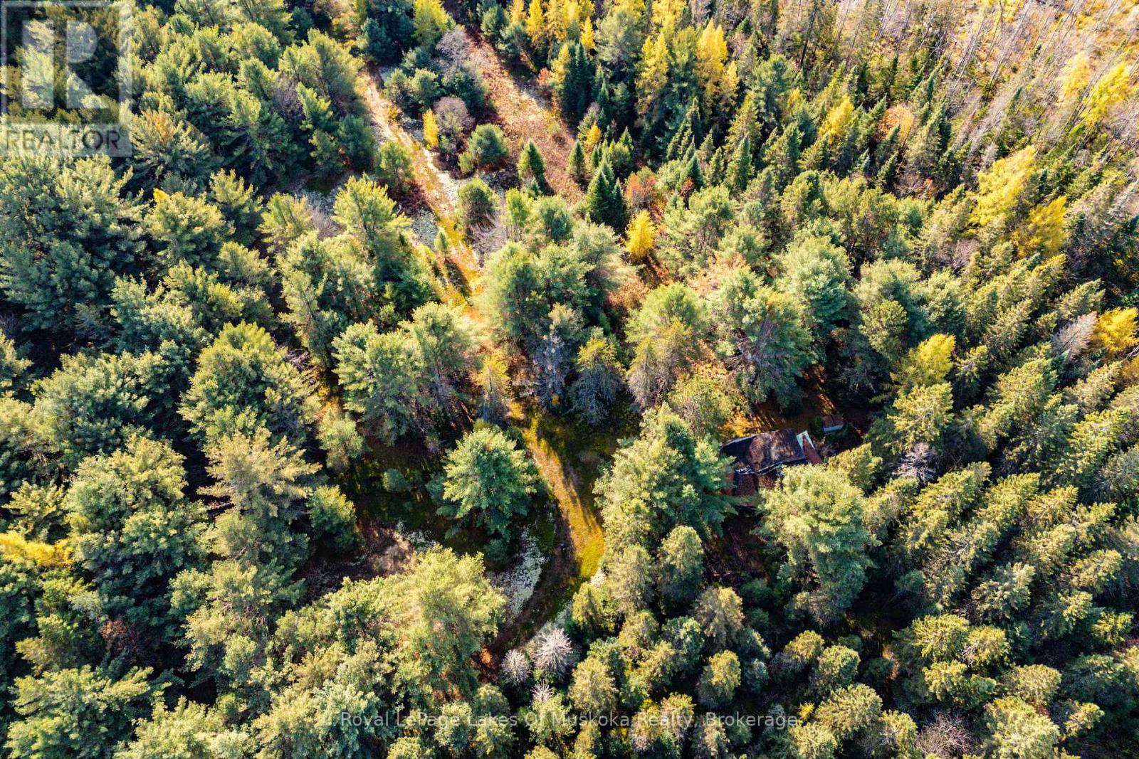 321 Cardwell Lake Road, Huntsville, Ontario  P0B 1M0 - Photo 4 - X12577952