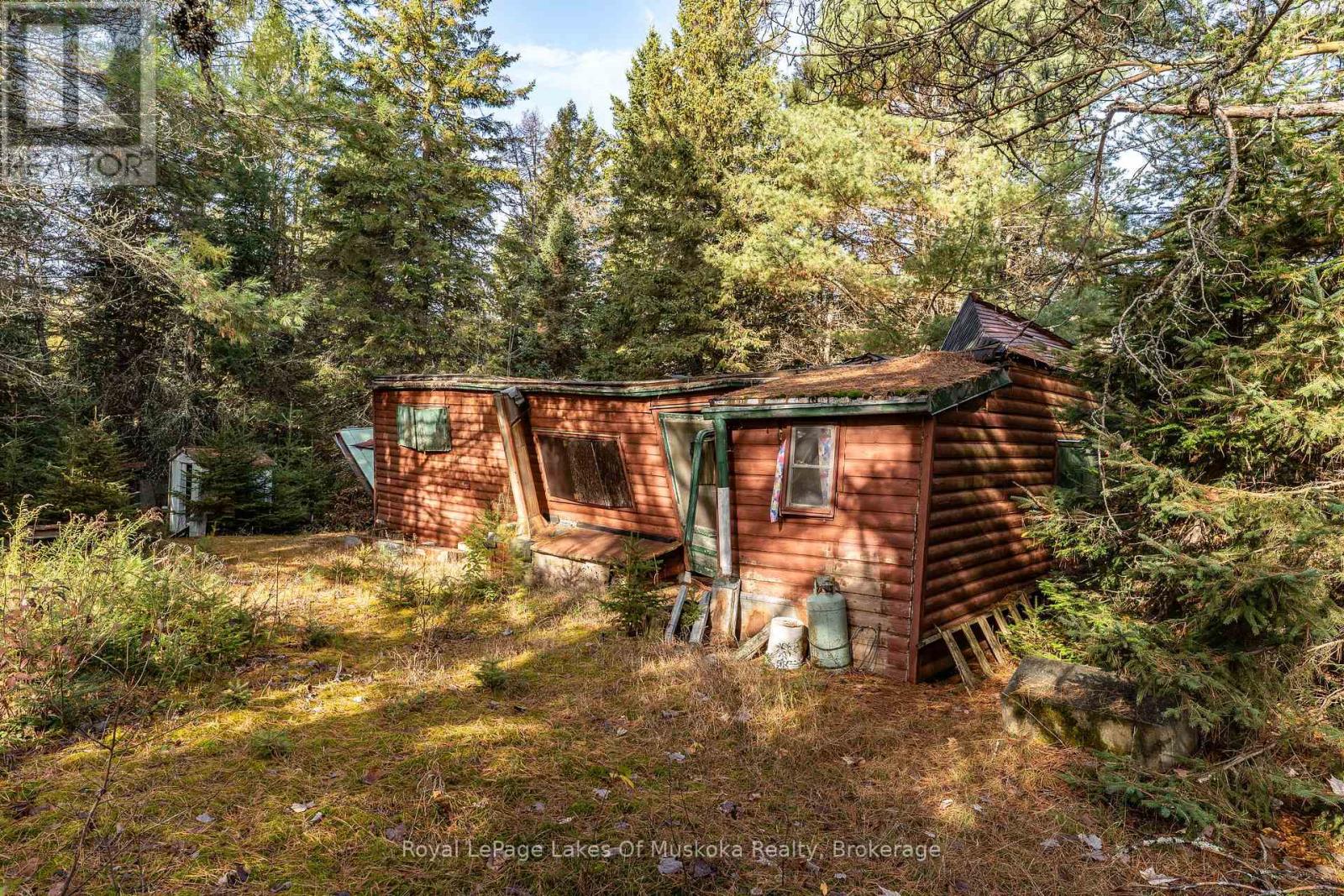 321 Cardwell Lake Road, Huntsville, Ontario  P0B 1M0 - Photo 9 - X12577952