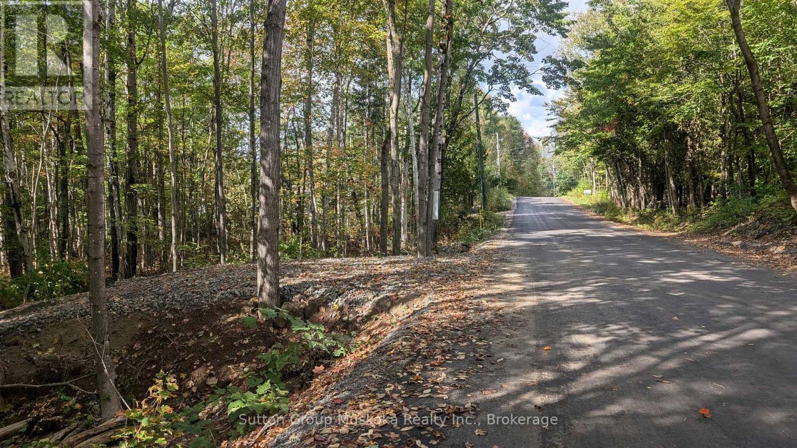 Lot 1 Tally-Ho Winter Park Road, Lake Of Bays, Ontario  P1H 2E8 - Photo 1 - X12579626