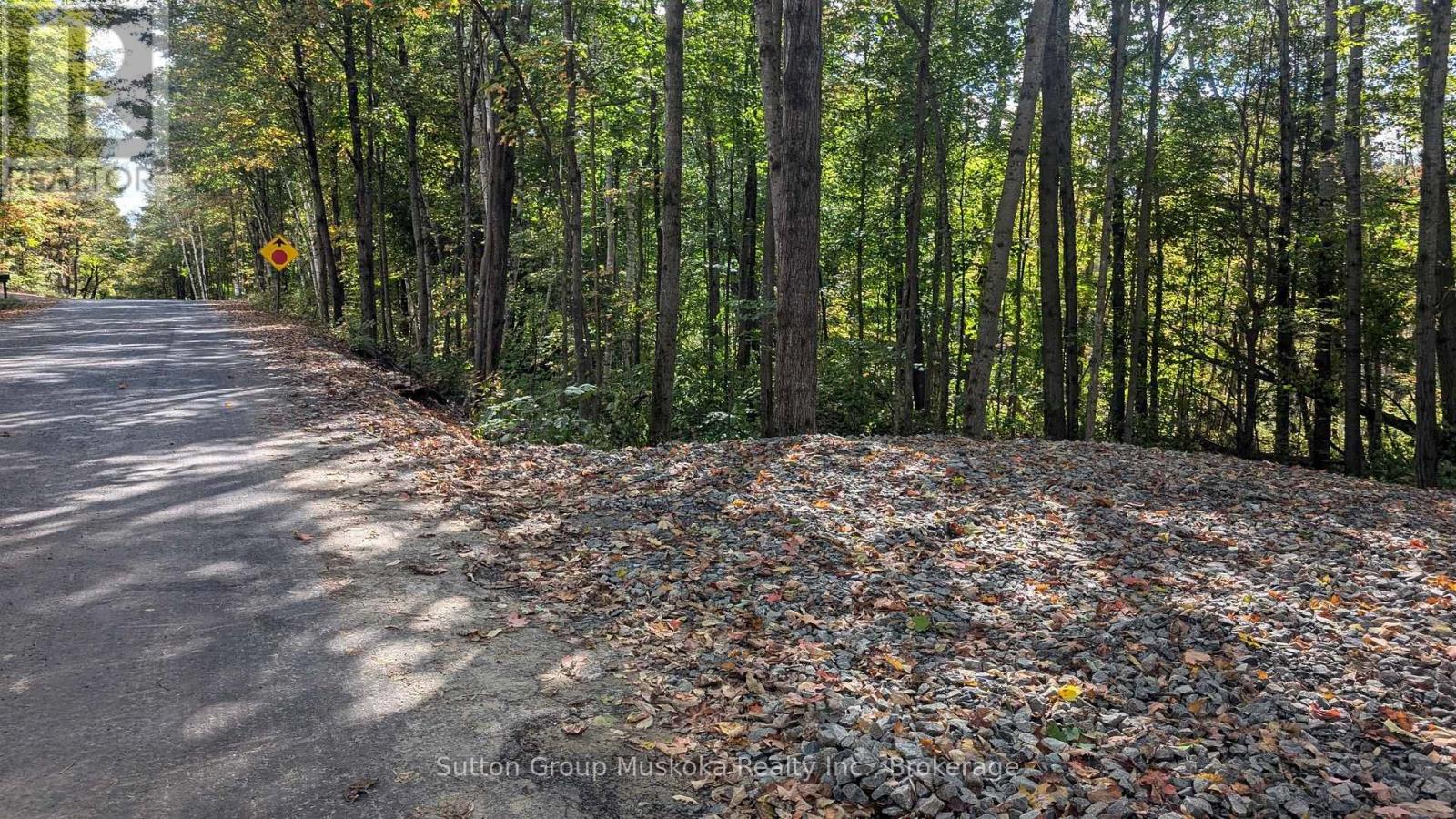 Lot 1 Tally-Ho Winter Park Road, Lake Of Bays, Ontario  P1H 2E8 - Photo 3 - X12579626