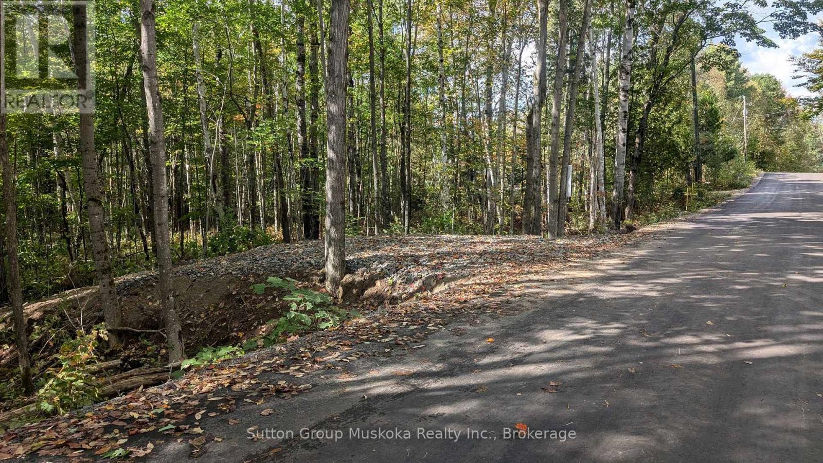 Lot 1 Tally-Ho Winter Park Road, Lake Of Bays, Ontario  P1H 2E8 - Photo 4 - X12579626