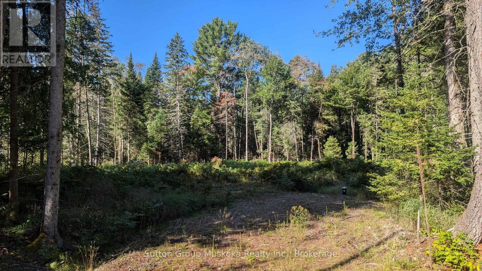 Lot 18 Crimson Lane, Huntsville, Ontario  P0B 1L0 - Photo 3 - X12591302
