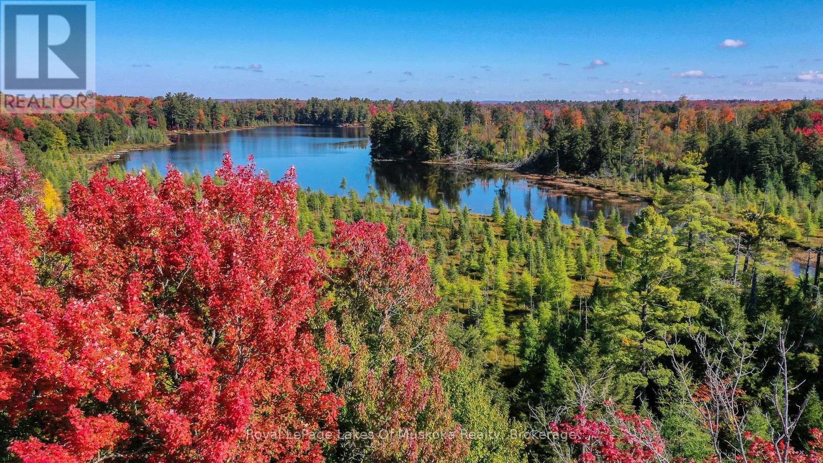 1420 Limberlost Road, Lake Of Bays, Ontario  P1H 2J6 - Photo 46 - X12591528