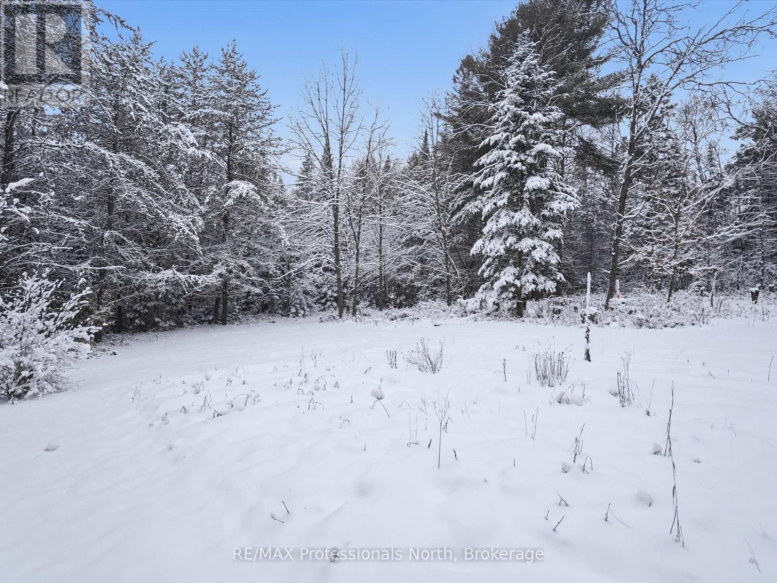 966 Boundary Road, Huntsville, Ontario  P0A 1R0 - Photo 27 - X12591612