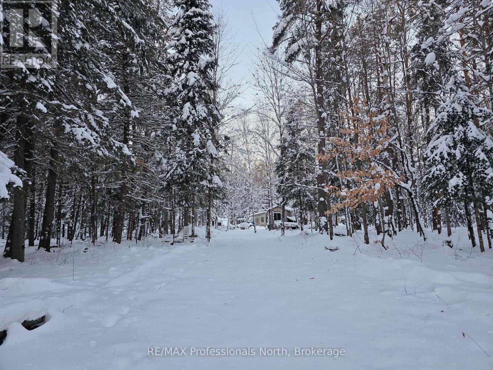 124 Cardwell Lake Road, Huntsville, Ontario  P0B 1M0 - Photo 1 - X12600966