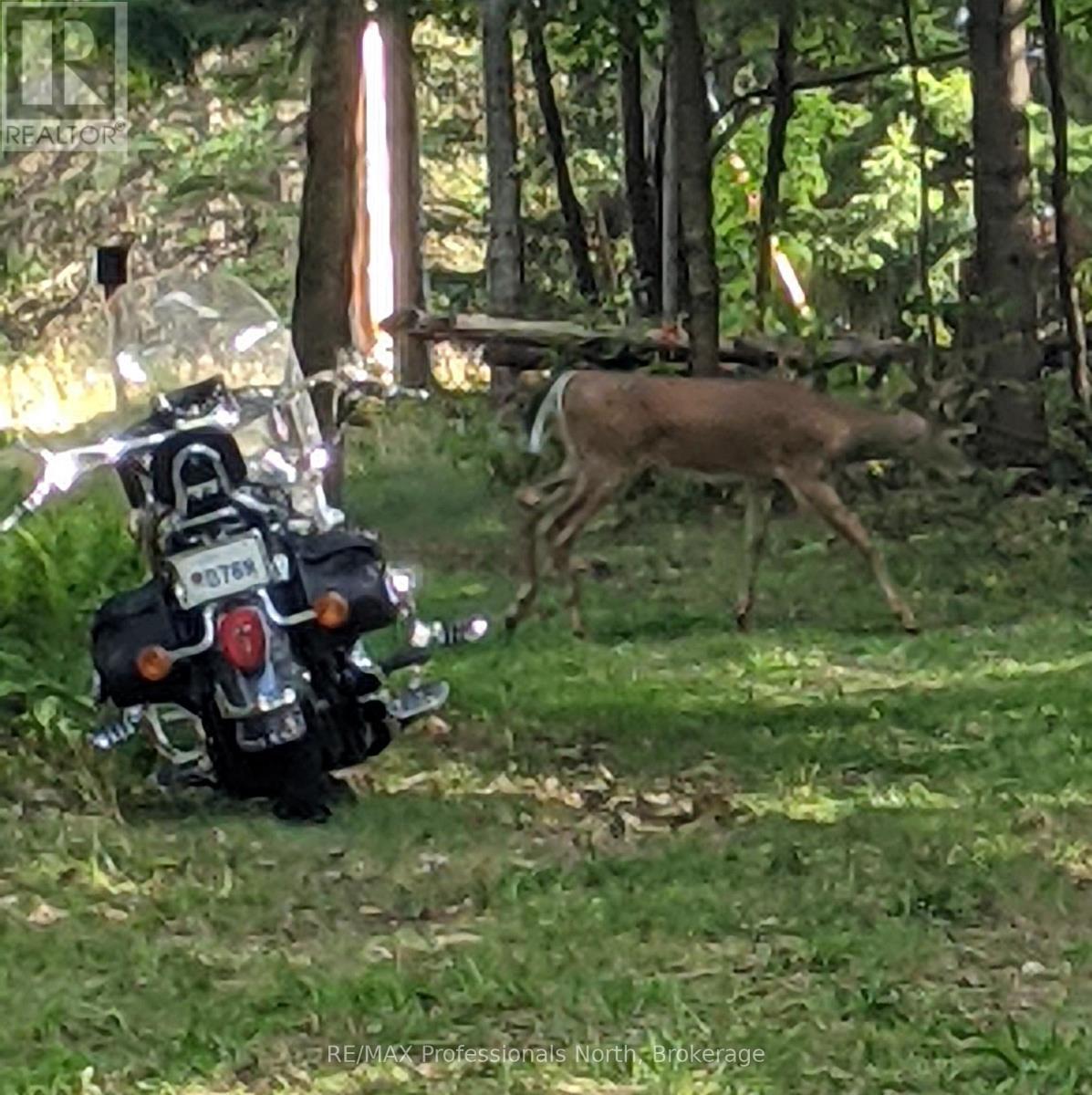 124 Cardwell Lake Road, Huntsville, Ontario  P0B 1M0 - Photo 10 - X12600966