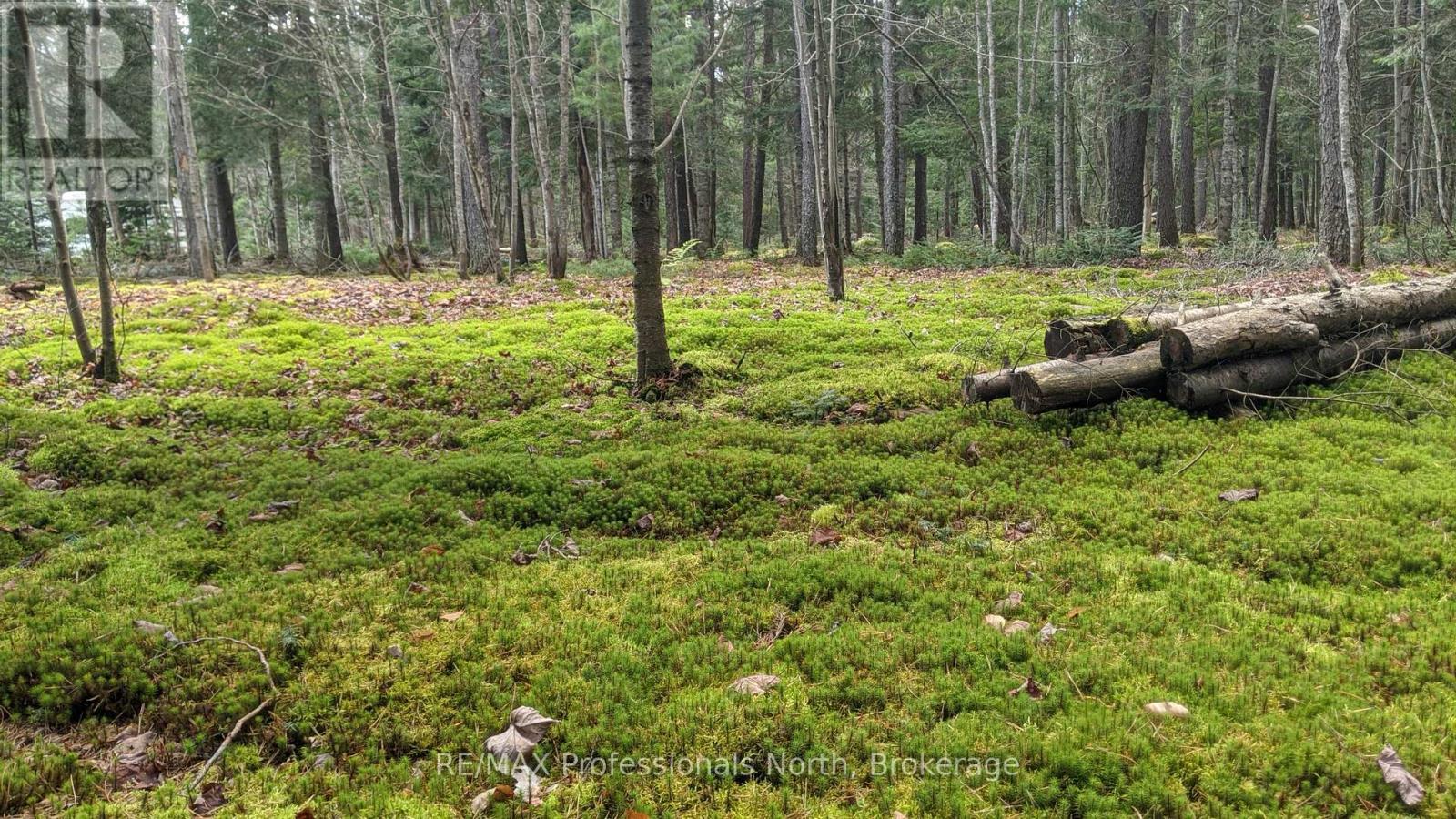 124 Cardwell Lake Road, Huntsville, Ontario  P0B 1M0 - Photo 18 - X12600966