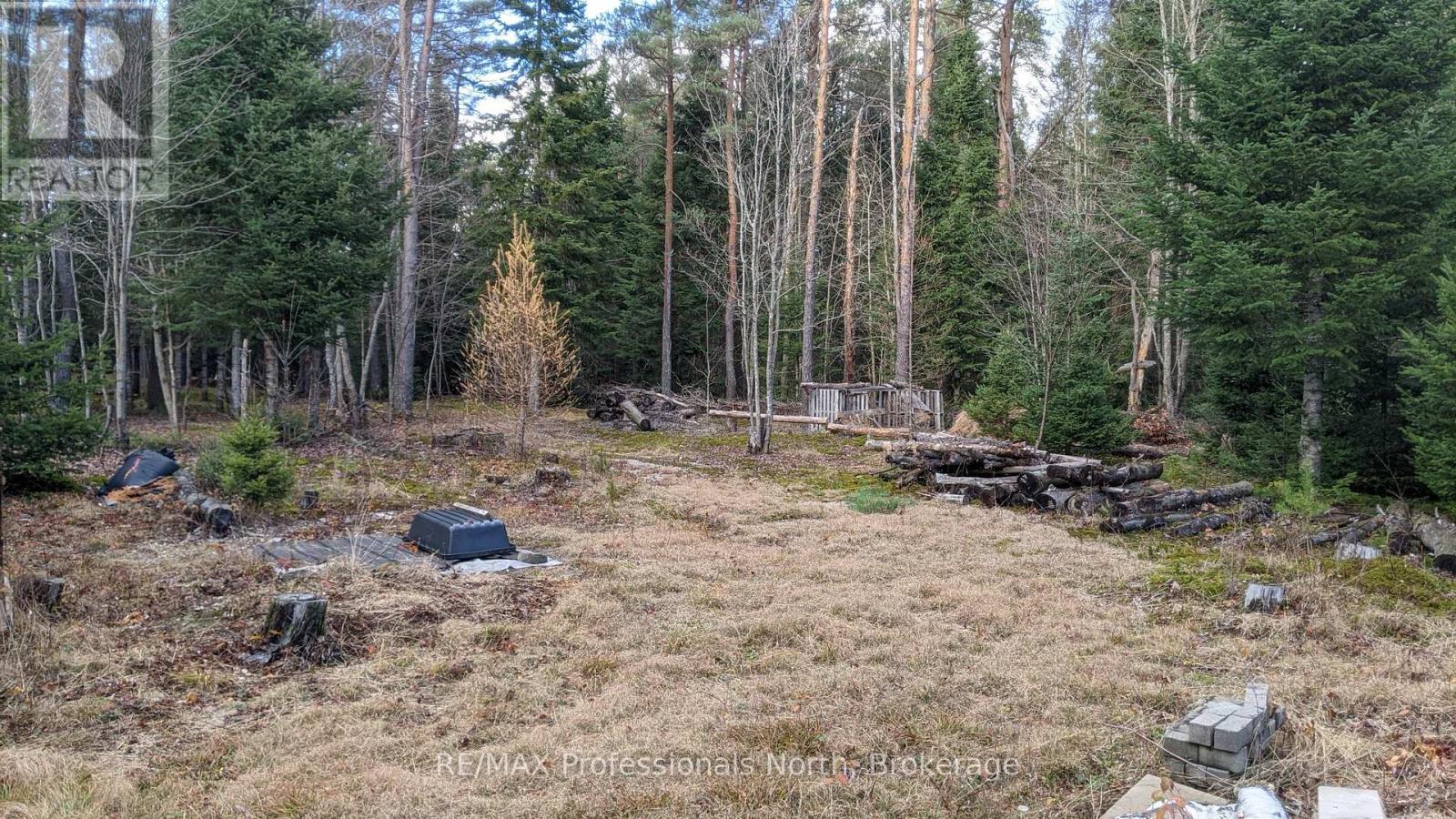 124 Cardwell Lake Road, Huntsville, Ontario  P0B 1M0 - Photo 19 - X12600966