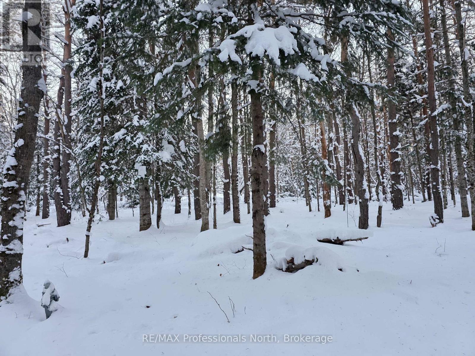 124 Cardwell Lake Road, Huntsville, Ontario  P0B 1M0 - Photo 2 - X12600966