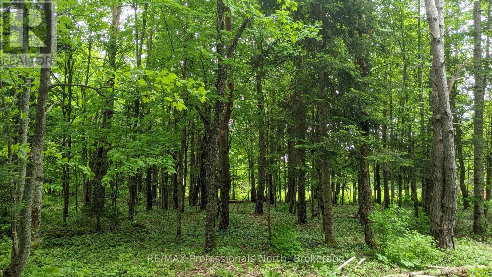 124 Cardwell Lake Road, Huntsville, Ontario  P0B 1M0 - Photo 20 - X12600966