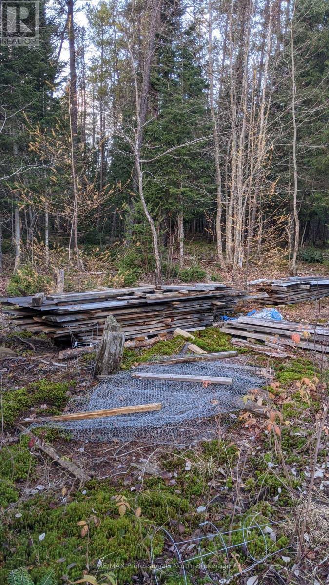 124 Cardwell Lake Road, Huntsville, Ontario  P0B 1M0 - Photo 22 - X12600966