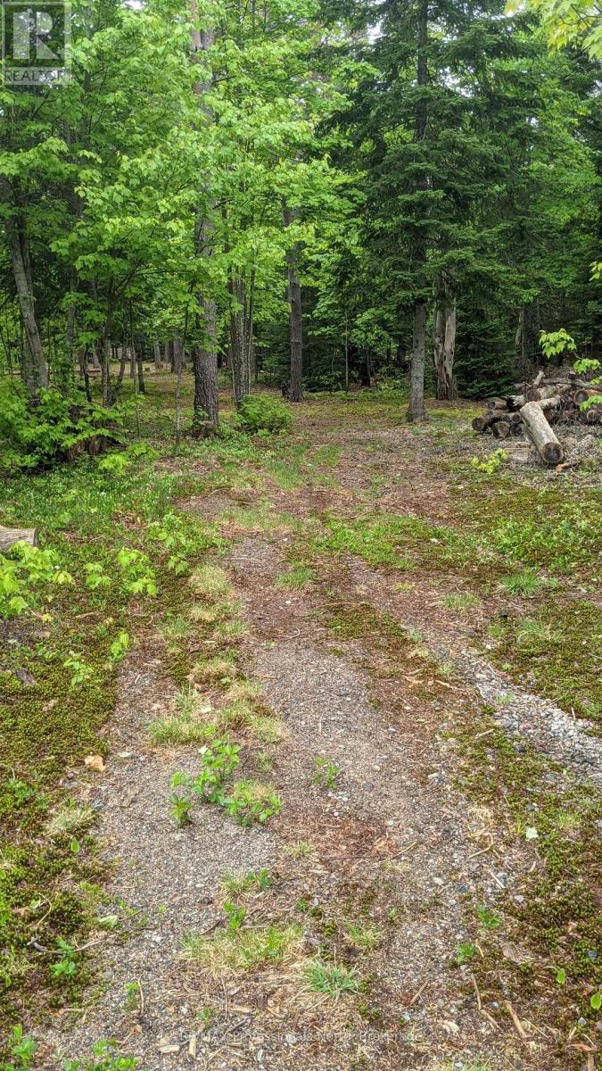 124 Cardwell Lake Road, Huntsville, Ontario  P0B 1M0 - Photo 24 - X12600966