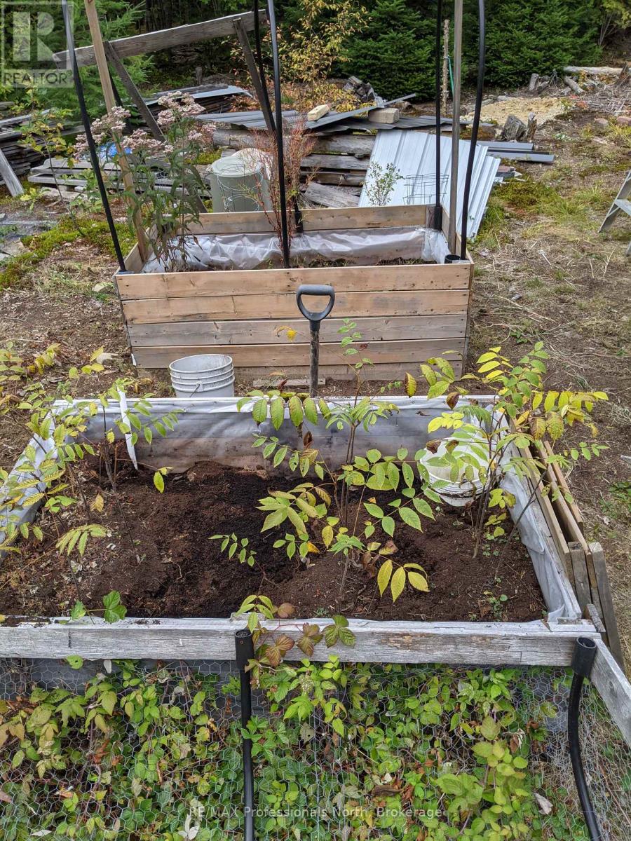 124 Cardwell Lake Road, Huntsville, Ontario  P0B 1M0 - Photo 8 - X12600966