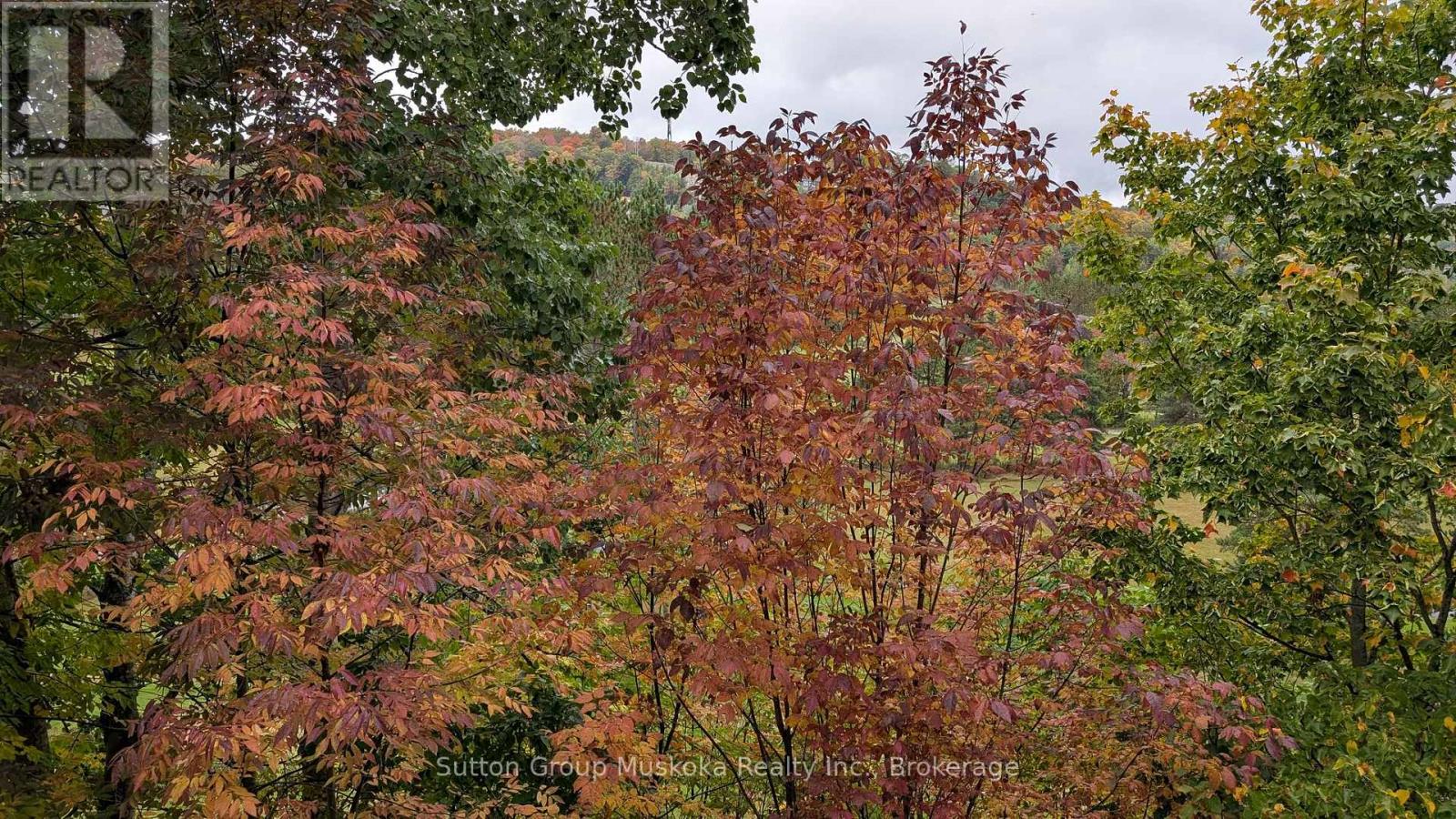 27-202 Golfview - Deerhurst Drive, Huntsville, Ontario  P1H 2E8 - Photo 18 - X12612128