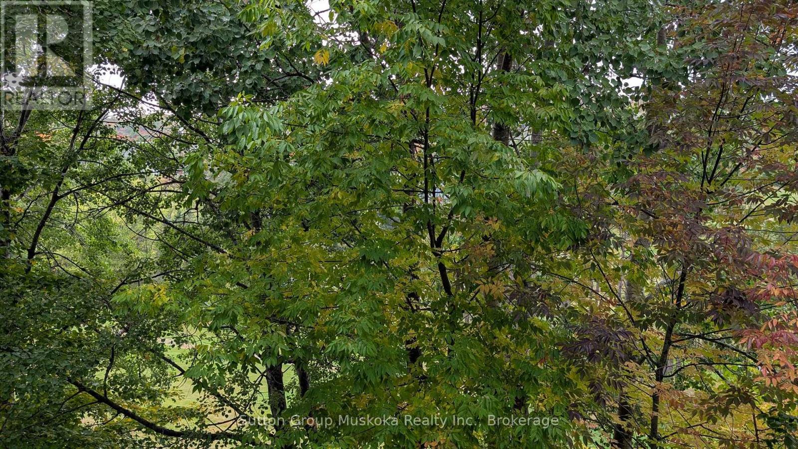 27-202 Golfview - Deerhurst Drive, Huntsville, Ontario  P1H 2E8 - Photo 19 - X12612128