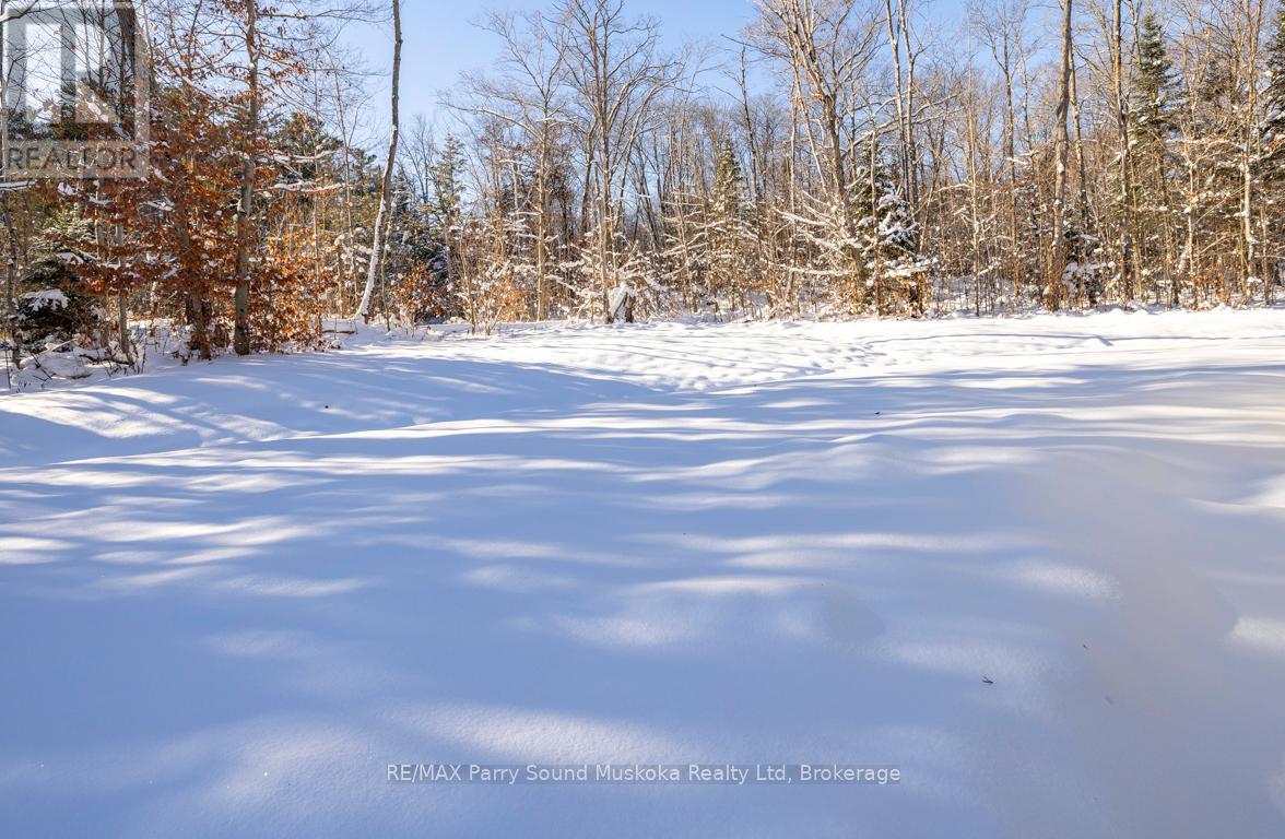 17 - 25 Seguin Place, Seguin, Ontario  P2A 1B2 - Photo 24 - X12613754