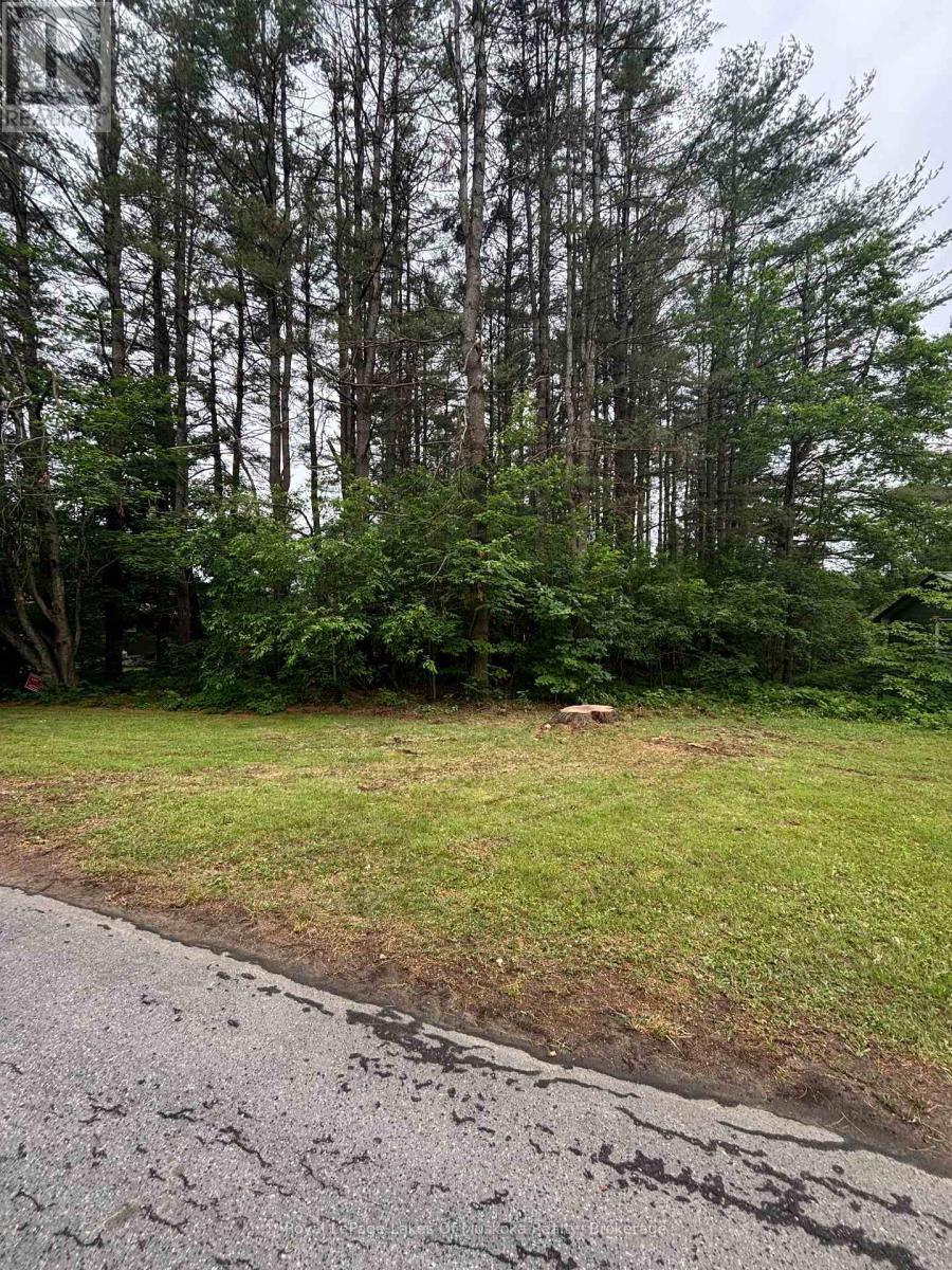 124 Frederick Street, Bracebridge, Ontario  P1L 1B5 - Photo 1 - X12615476