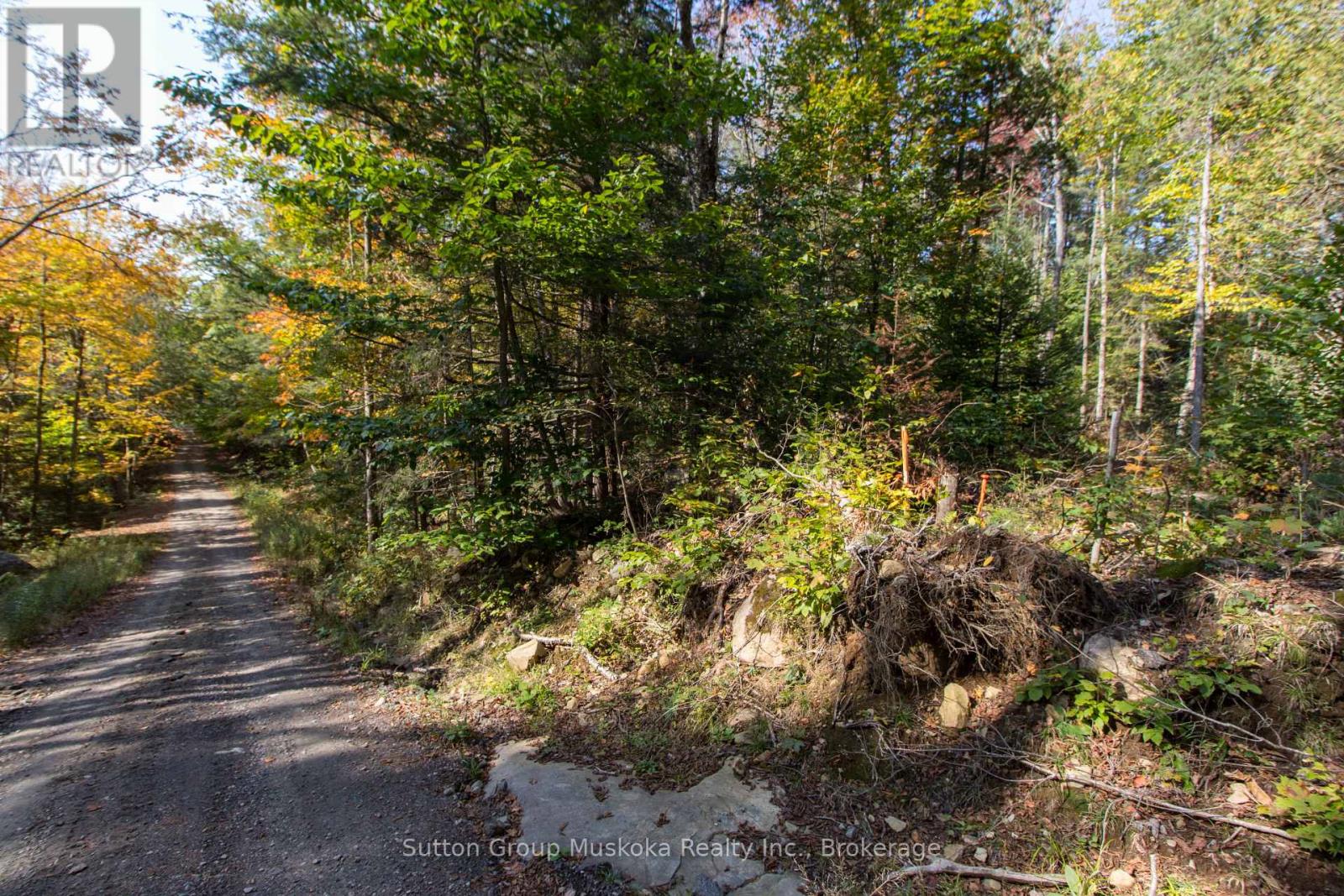 0 Lynx Lake Road, Huntsville, Ontario  P1H 2J3 - Photo 2 - X12627910