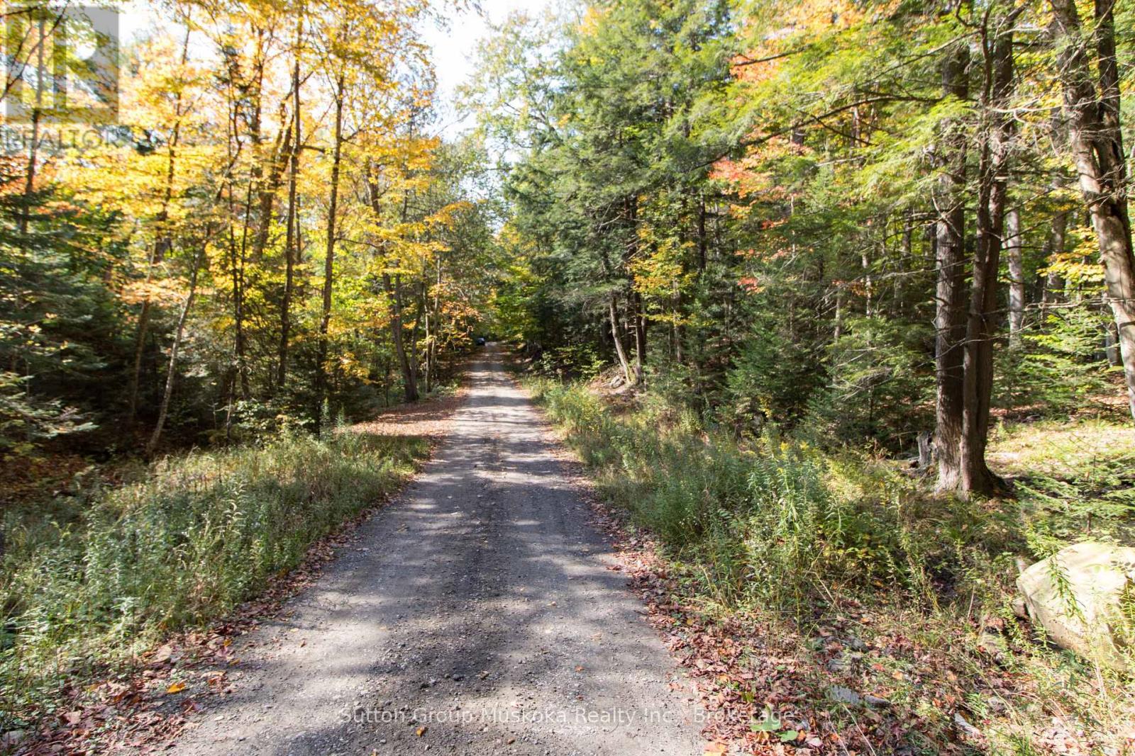 0 Lynx Lake Road, Huntsville, Ontario  P1H 2J3 - Photo 4 - X12627910