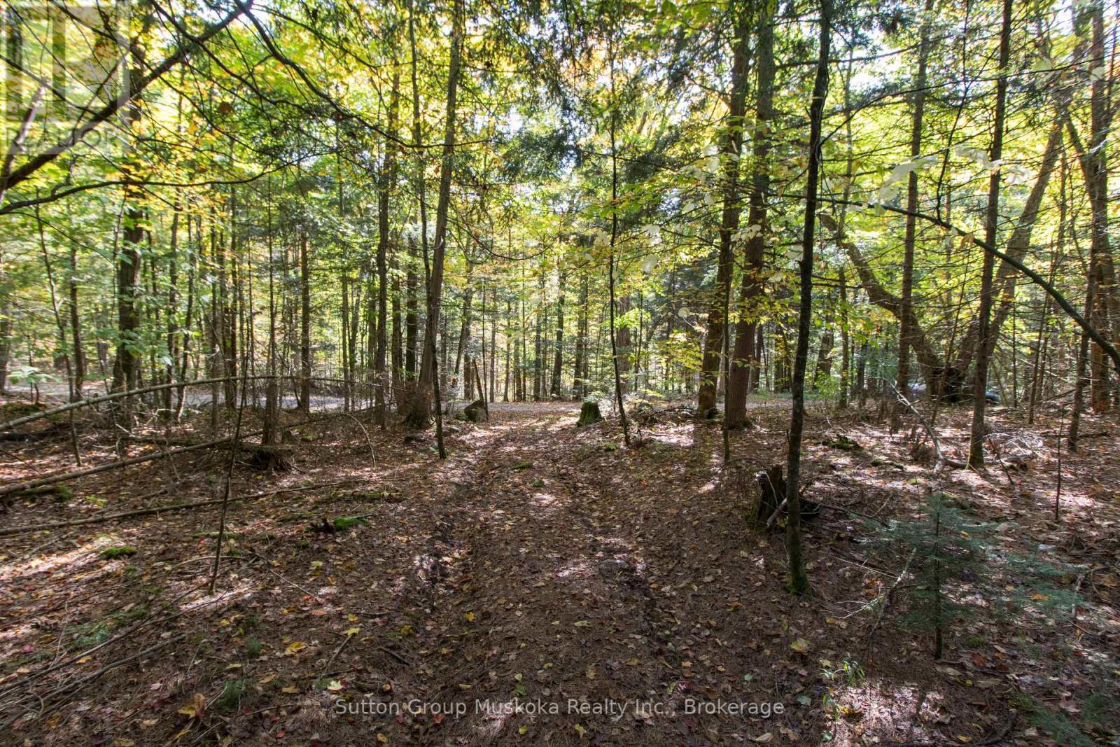 0 Lynx Lake Road, Huntsville, Ontario  P1H 2J3 - Photo 5 - X12627910