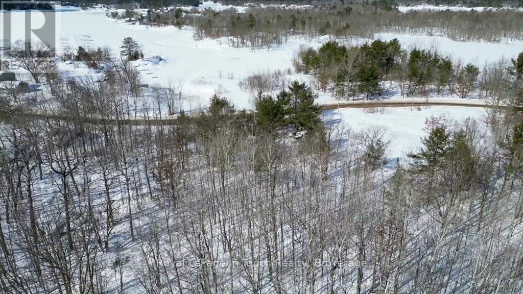 408 South Bay Road, Georgian Bay, Ontario  L0K 1S0 - Photo 3 - X12638856