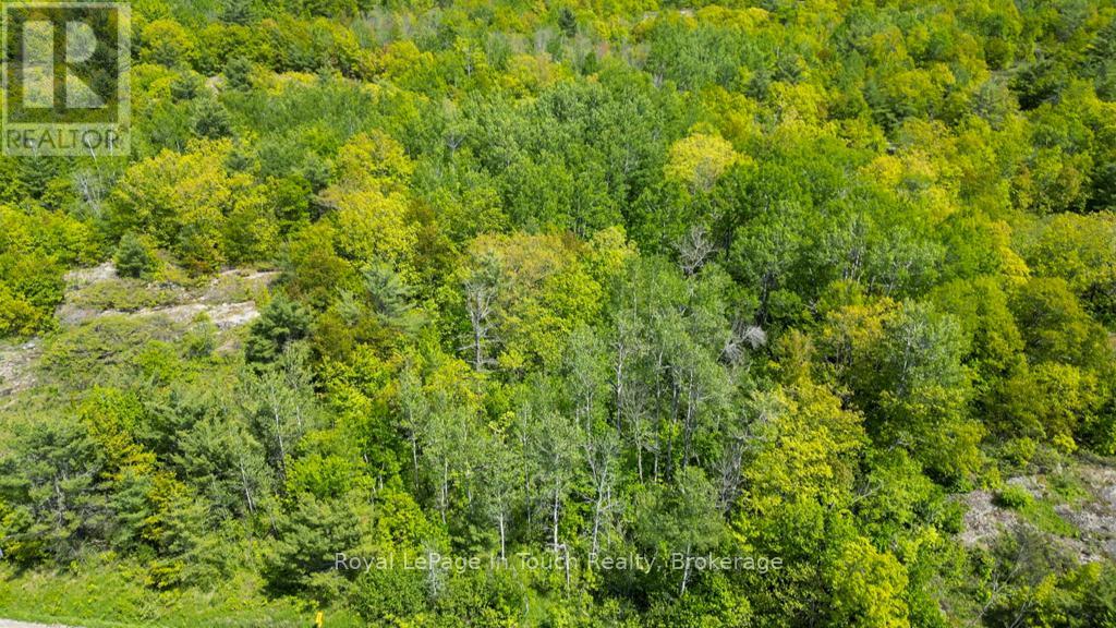 408 South Bay Road, Georgian Bay, Ontario  L0K 1S0 - Photo 7 - X12638856