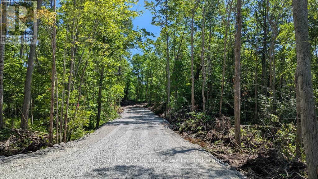 434 South Bay Road, Georgian Bay, Ontario  L0K 1S0 - Photo 10 - X12638940