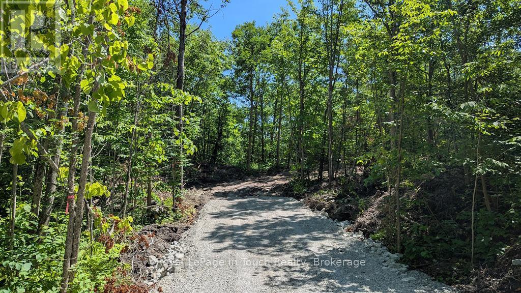 434 South Bay Road, Georgian Bay, Ontario  L0K 1S0 - Photo 11 - X12638940