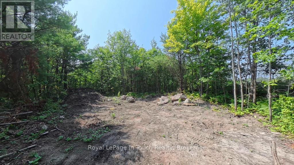 434 South Bay Road, Georgian Bay, Ontario  L0K 1S0 - Photo 8 - X12638940