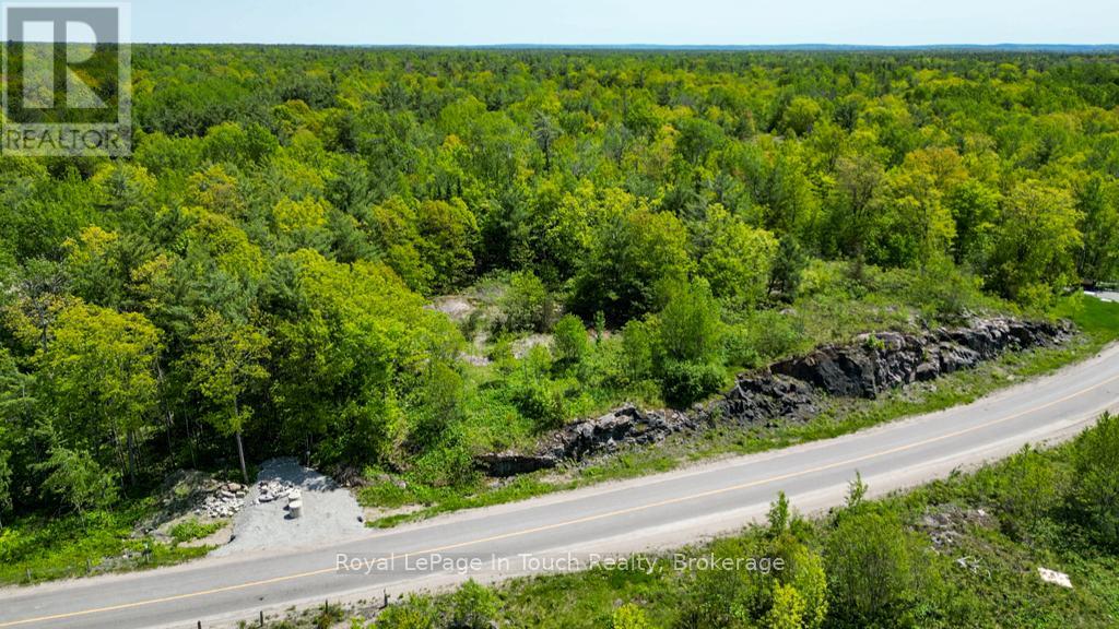 446 South Bay Road, Georgian Bay, Ontario  L0K 1S0 - Photo 4 - X12638988