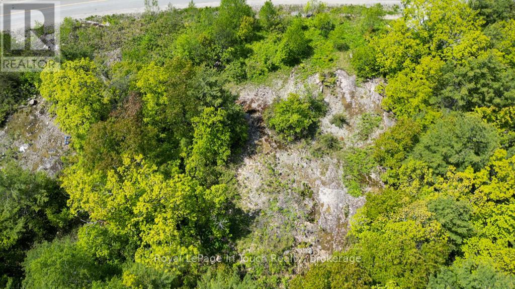 446 South Bay Road, Georgian Bay, Ontario  L0K 1S0 - Photo 6 - X12638988