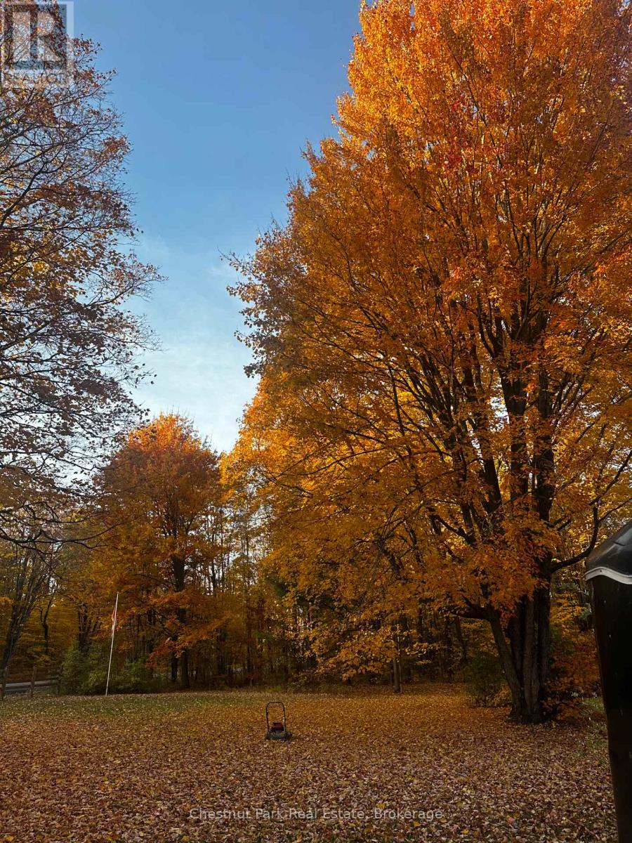 4478 Southwood Road, Muskoka Lakes, Ontario  P0C 1M0 - Photo 23 - X12642192