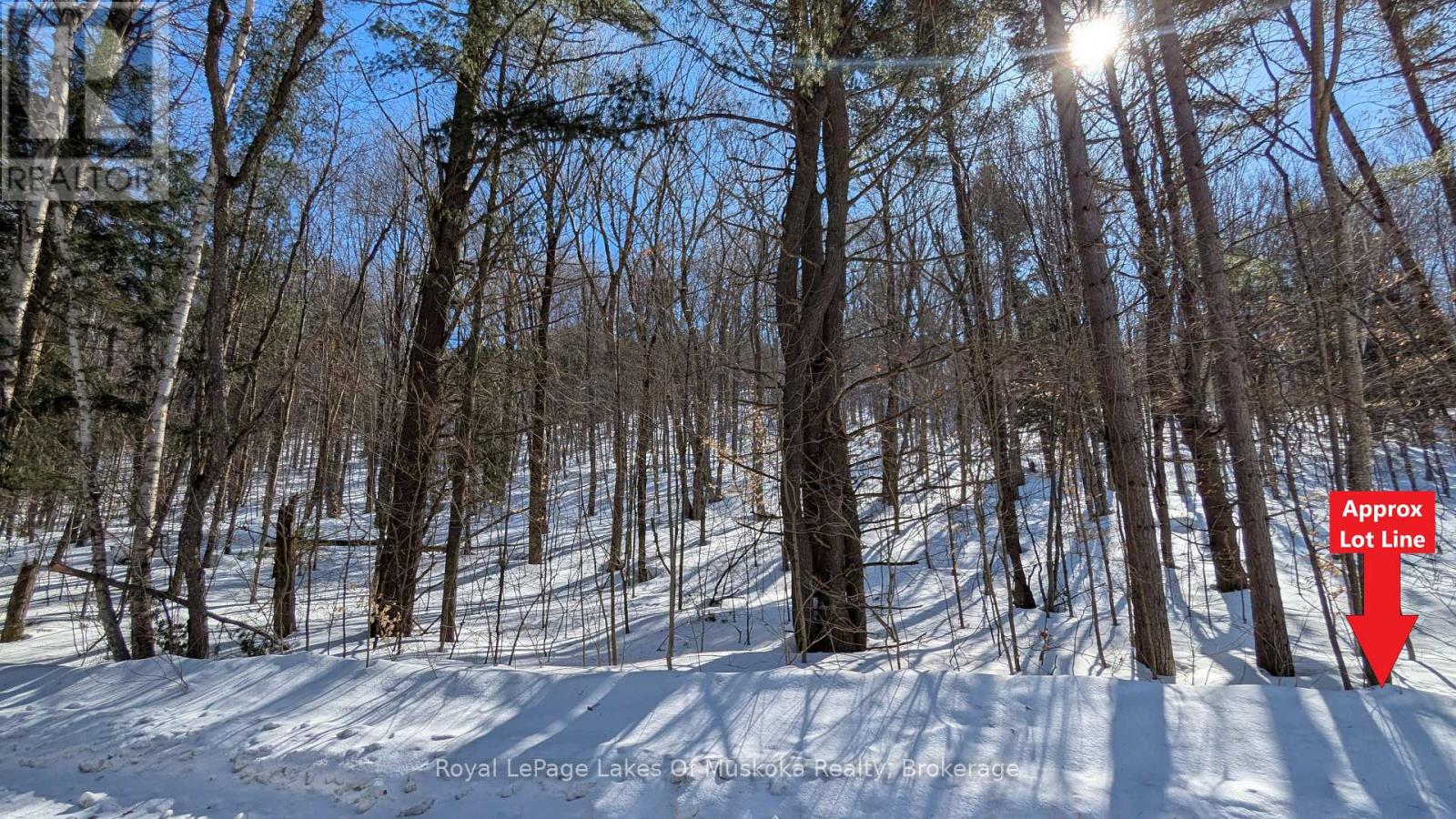 0 Rosseau Lake Rd 1, Muskoka Lakes, Ontario  P0B 1M0 - Photo 2 - X12647220