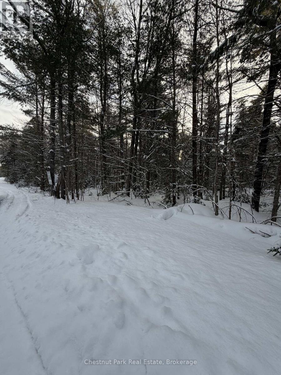 1839 Bear Cave Road, Muskoka Lakes, Ontario  P0B 1G0 - Photo 10 - X12650404