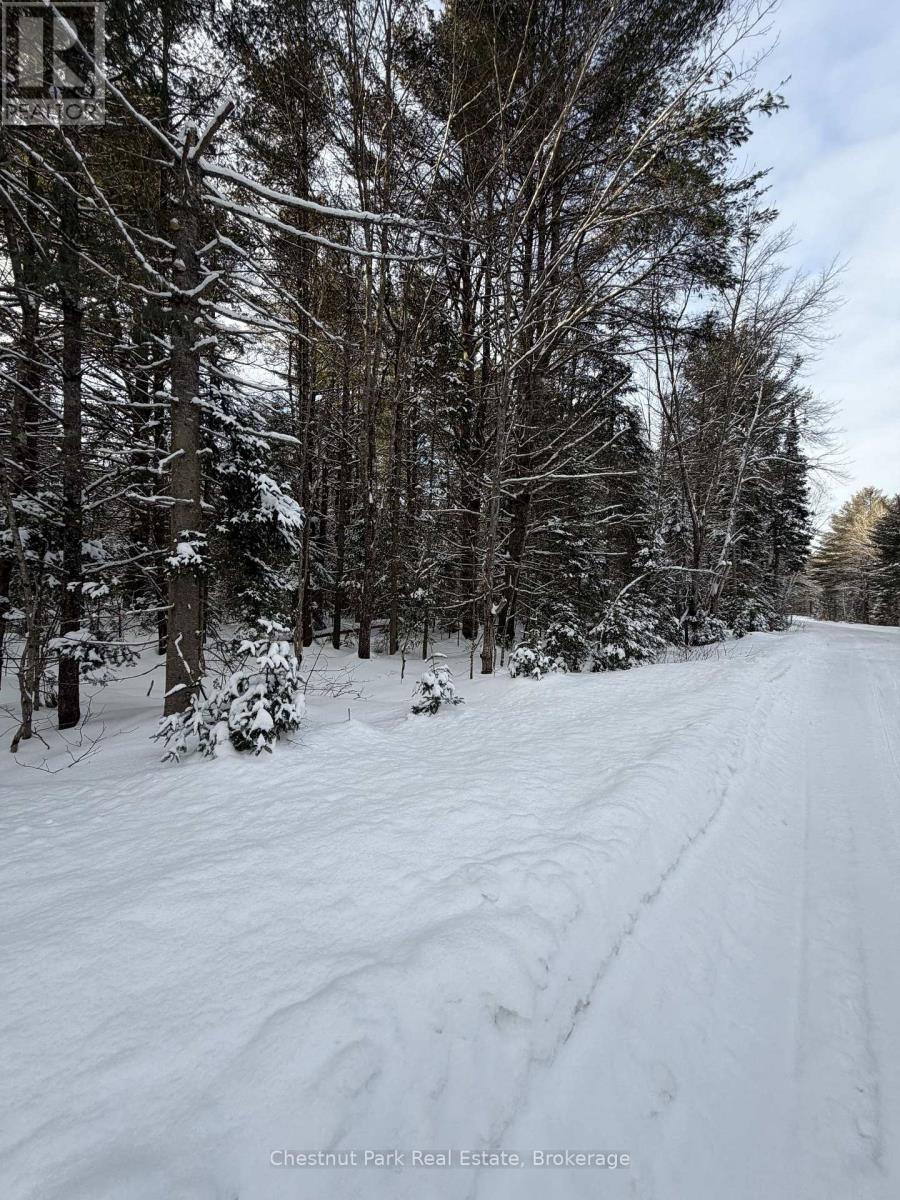 1839 Bear Cave Road, Muskoka Lakes, Ontario  P0B 1G0 - Photo 11 - X12650404