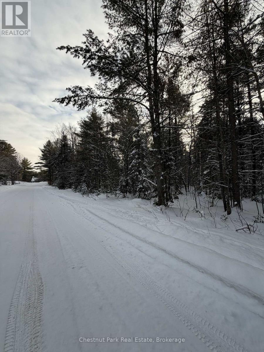 1839 Bear Cave Road, Muskoka Lakes, Ontario  P0B 1G0 - Photo 12 - X12650404