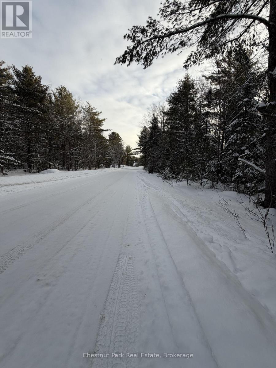 1839 Bear Cave Road, Muskoka Lakes, Ontario  P0B 1G0 - Photo 13 - X12650404