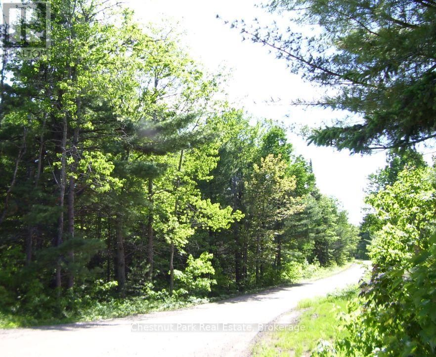 1839 Bear Cave Road, Muskoka Lakes, Ontario  P0B 1G0 - Photo 3 - X12650404